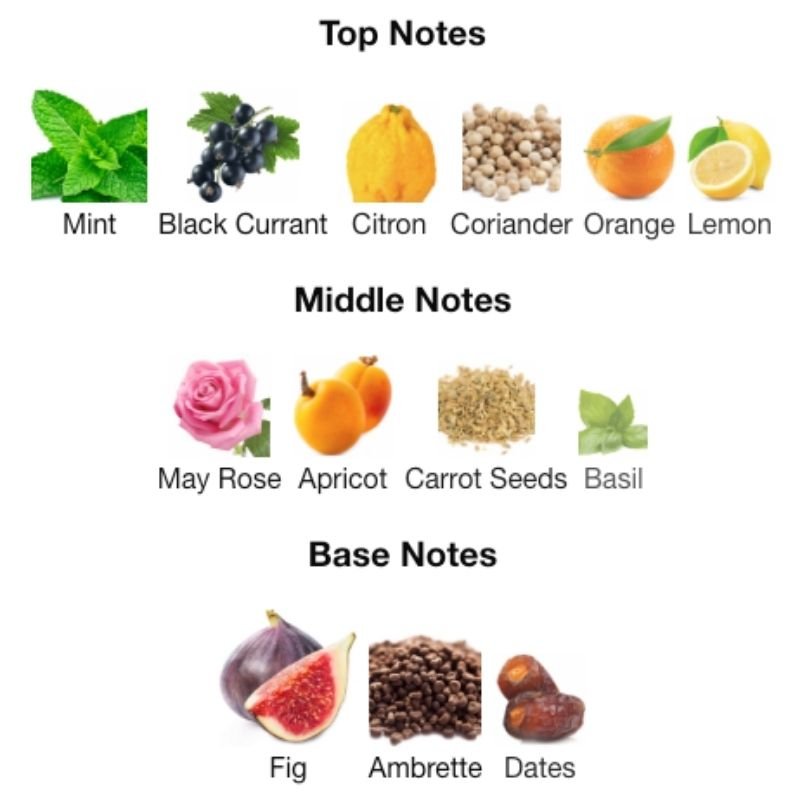 Maison Alhambra JEAN LOWE VIBE Partial - WHIFF CULTURE