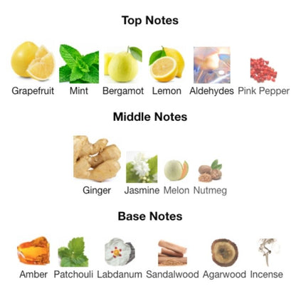 Maison Alhambra MAITRE DE BLUE