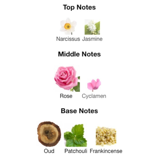 Maison Alhambra JEAN LOWE MATIERE