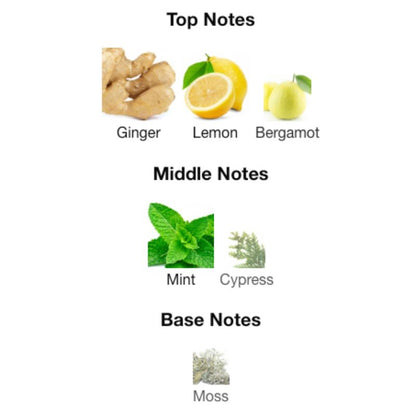 Paris Corner MAWJ MOSCOW MULE