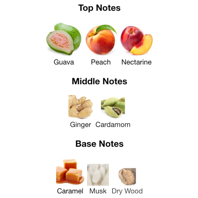 Paris Corner KHAIR PEACH DELULU