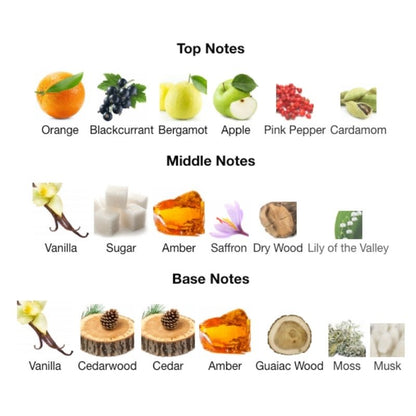 Dumont NITRO PLATINUM