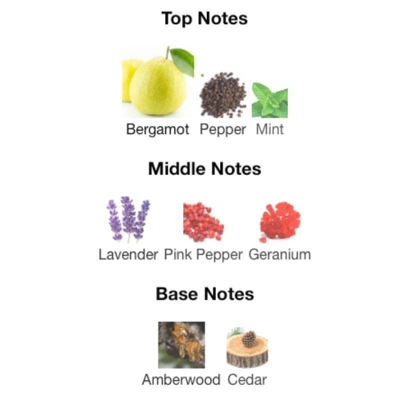 Rayhaan NOCTURNO - WHIFF CULTURE