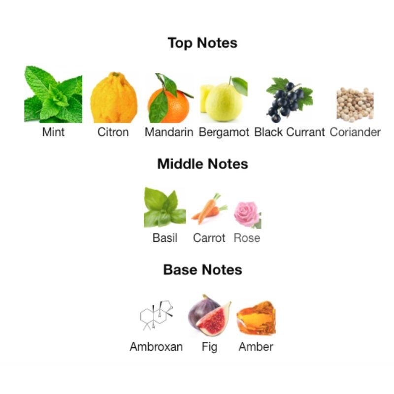 Rayhaan PACIFIC AURA - WHIFF CULTURE