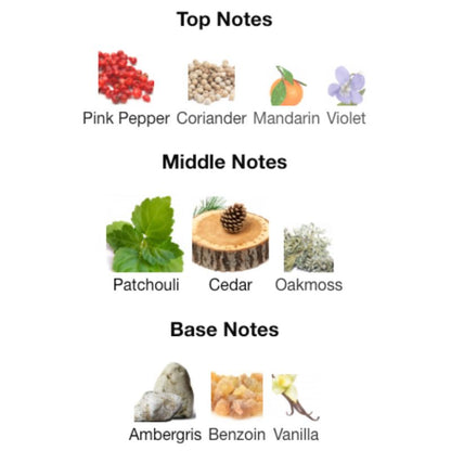 Paris Corner RIFAAQAT ADORN