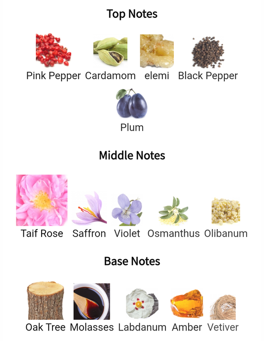 Swiss Arabian ENIGMA OF TAIF Partial