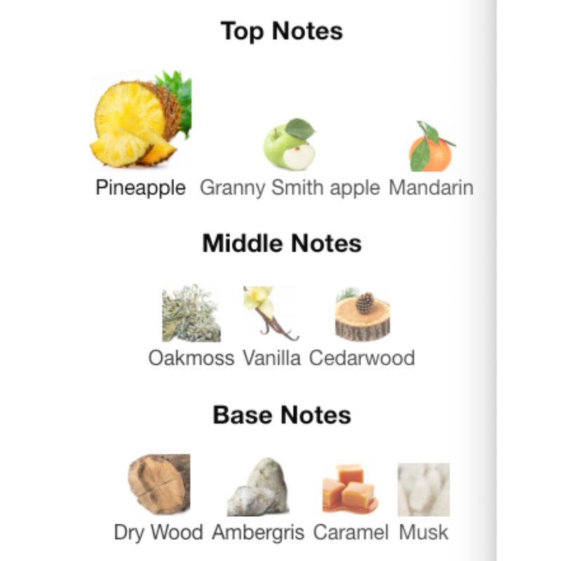 Afnan 9PM REBEL Partial