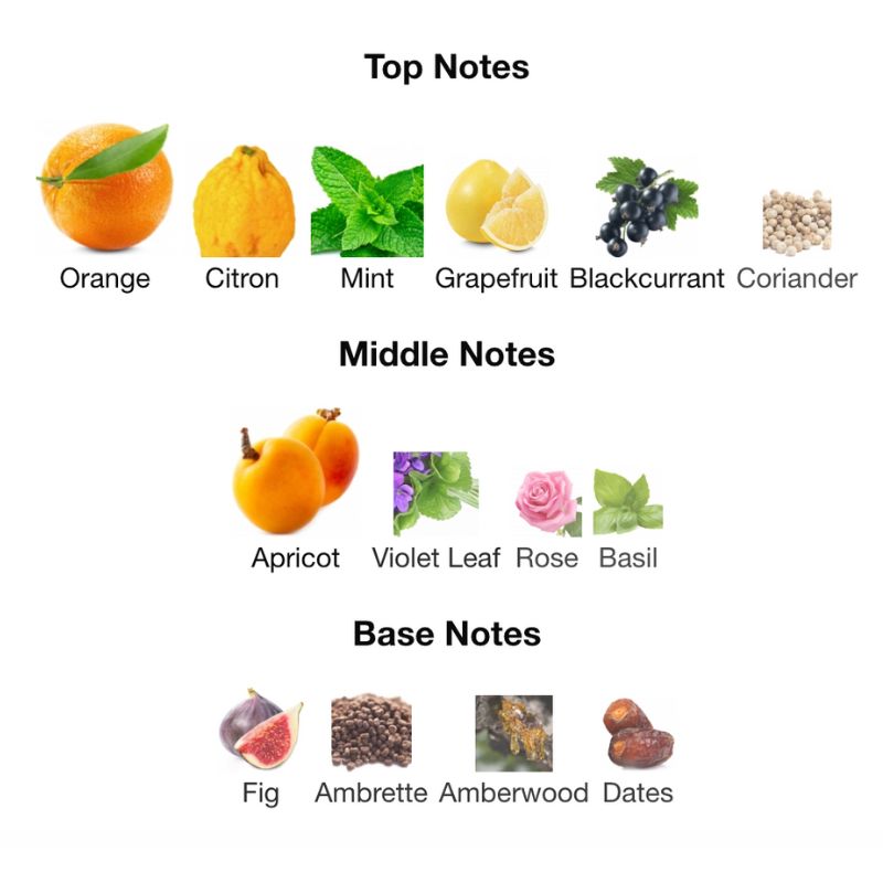 Afnan RARE REEF Partial