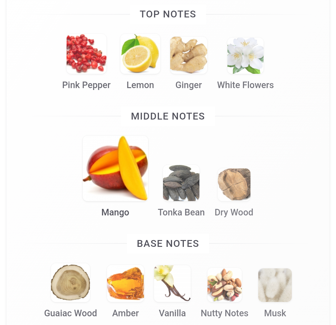 Armaf ODYSSEY GO MANGO