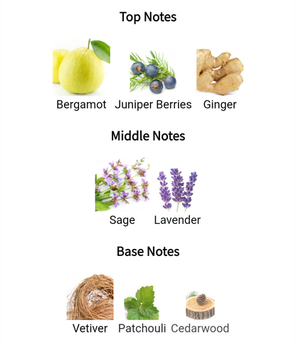 Rue Broca ON TIME Flash Sale