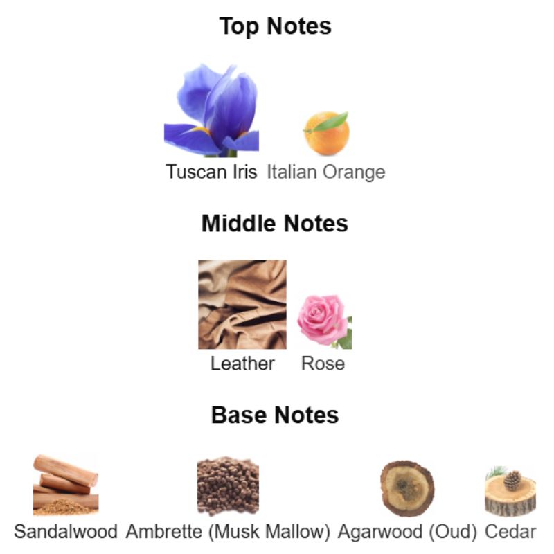 Rayhaan OBSIDIAN Partial