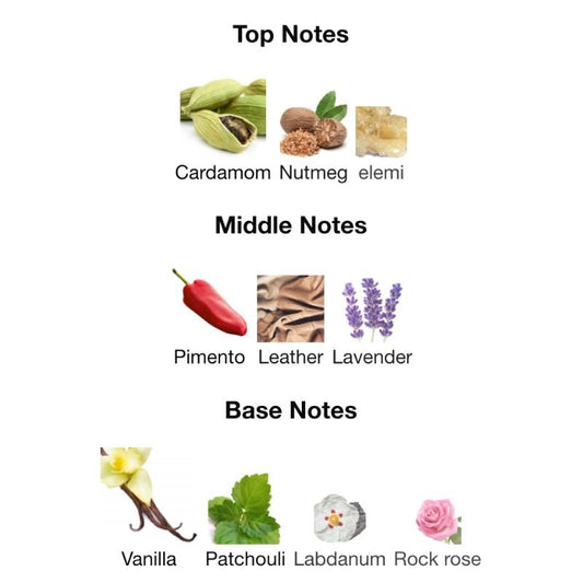 Afnan 9PM ELIXIR Partial