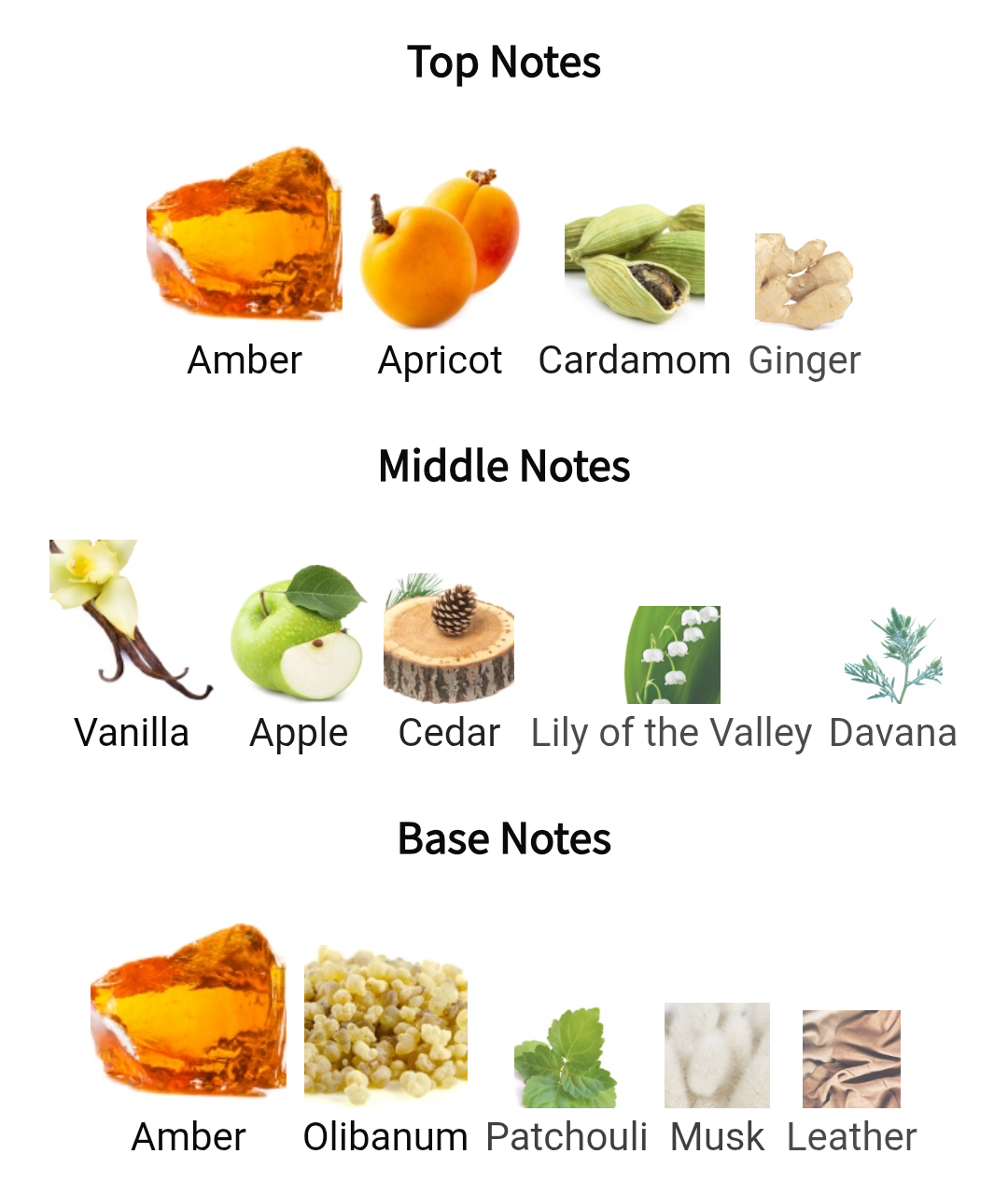 Swiss Arabian SHAGAF AMBER INFUSION