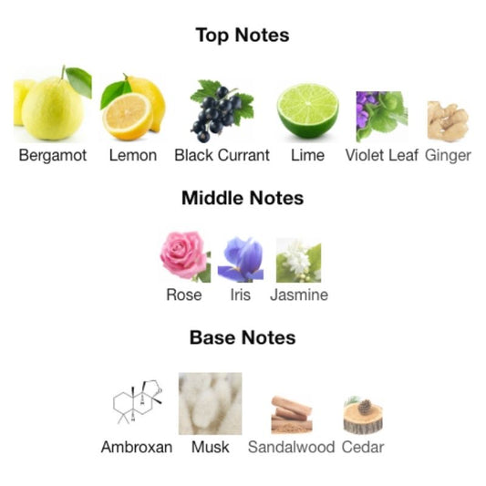 Armaf CLUB DE NUIT SILLAGE