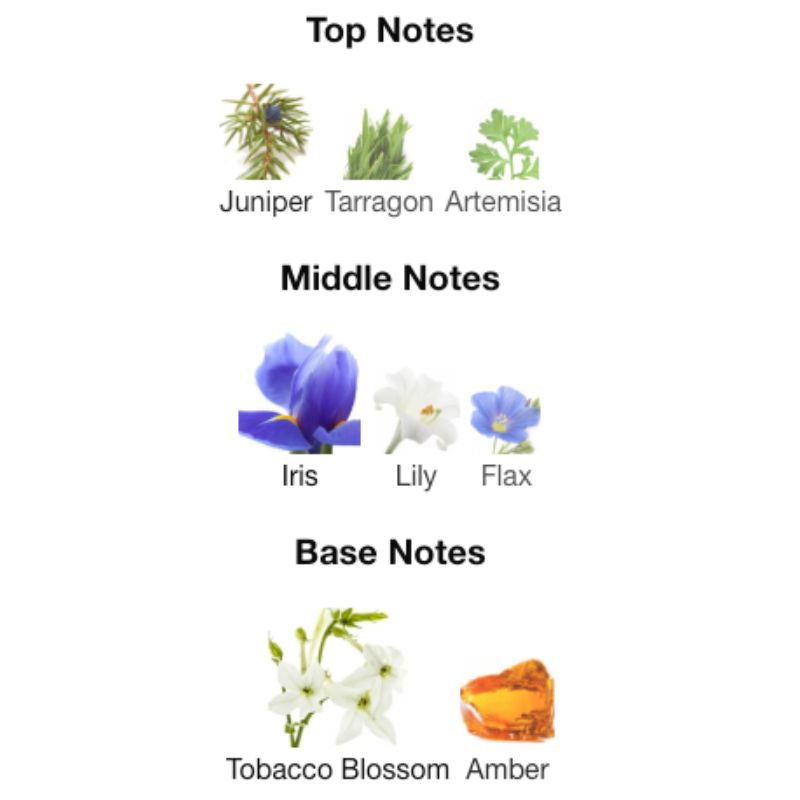 Versace The Dreamer Tester