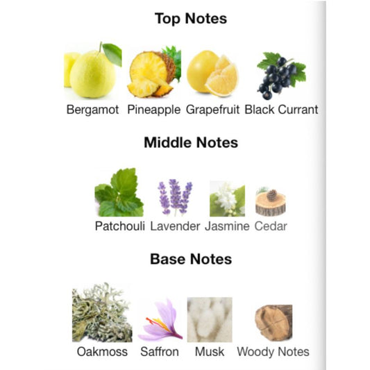 Rue Broca THEOREME MATRIX