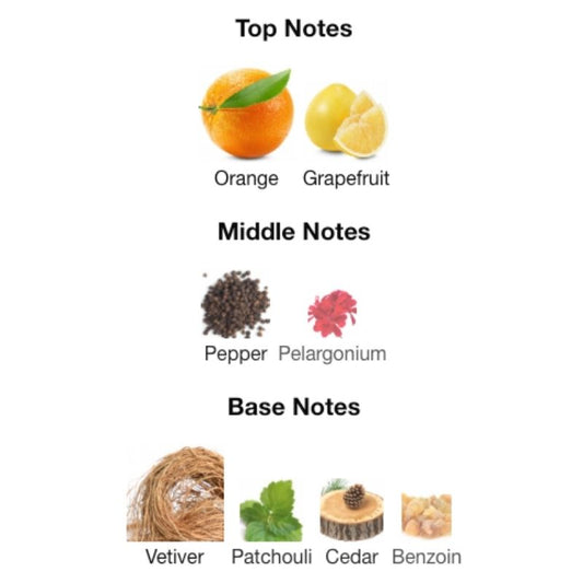 Maison Alhambra TORO POUR HOMME