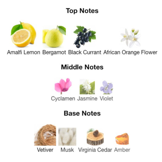 Paris Corner EMIR VIBRANT VETIVER DELIGHT