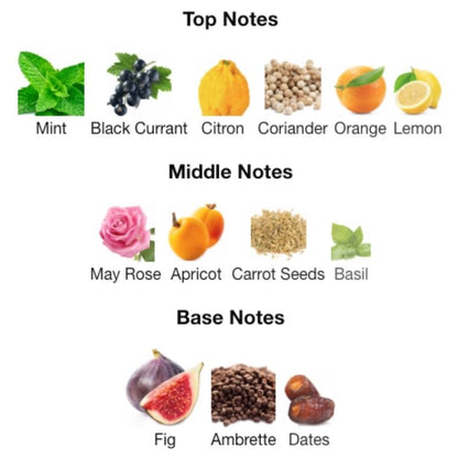 Maison Alhambra JEAN LOWE VIBE