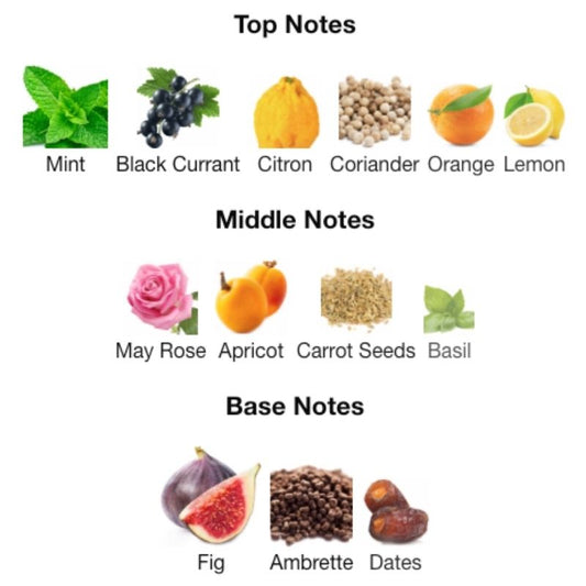 Maison Alhambra JEAN LOWE VIBE