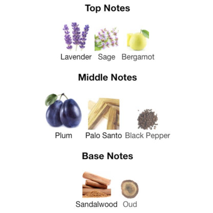 Lattafa VINTAGE RADIO