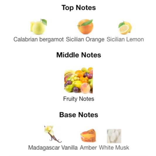 Paris Corner VOUX TURQUOISE