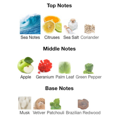 Nautica Voyage Sport Tester