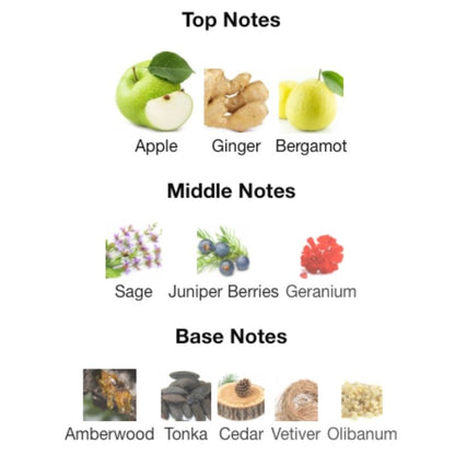 Maison Alhambra YEAH