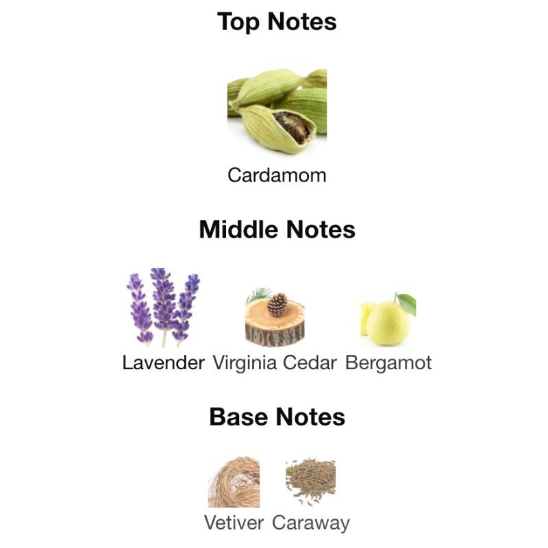 YSL LA NUIT DE L’HOMME - WHIFF CULTURE