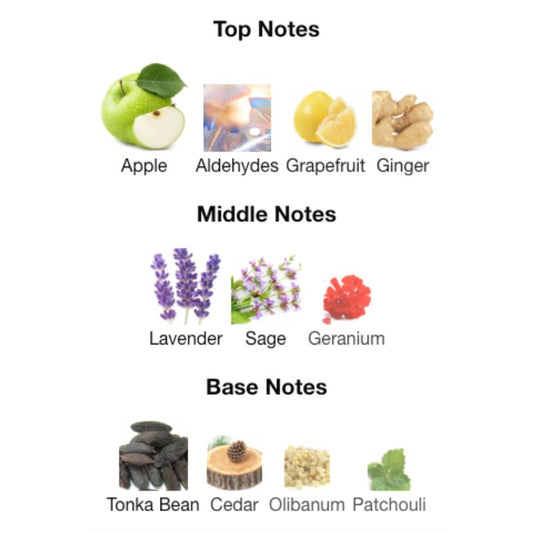 YSL Y Le Parfum Tester