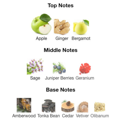 Albait Aldimashqi YSL Y