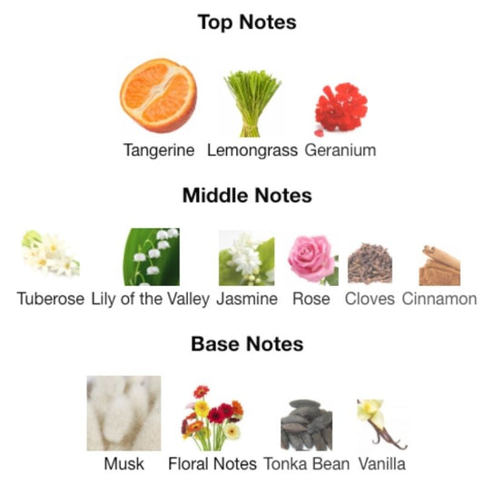 Ard Al Zaafaran AL DIRGHAM SPECIAL EDITION